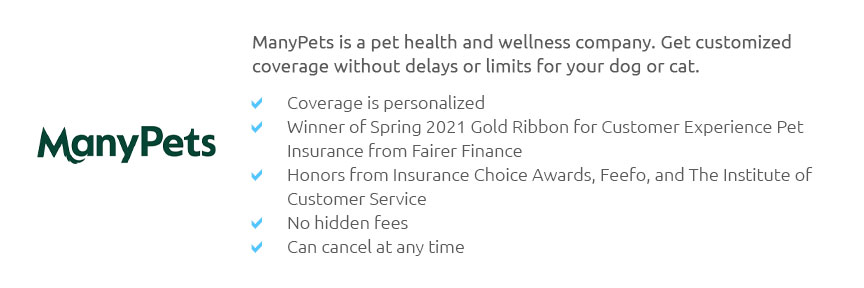 What Is The Cheapest Cat Insurance